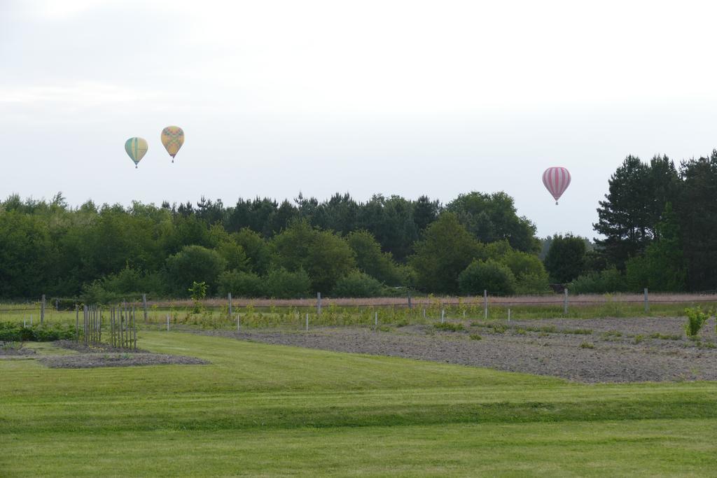Le Clos Des Perraudieres Cour-Cheverny Exteriér fotografie