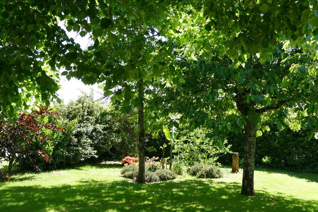Le Clos Des Perraudieres Cour-Cheverny Exteriér fotografie