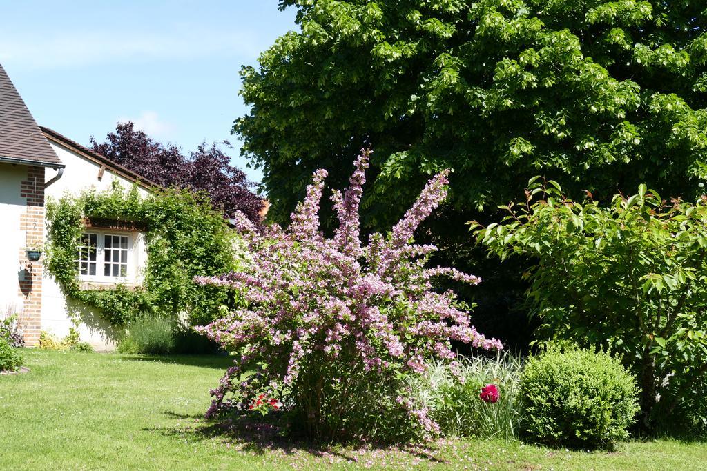 Le Clos Des Perraudieres Cour-Cheverny Exteriér fotografie