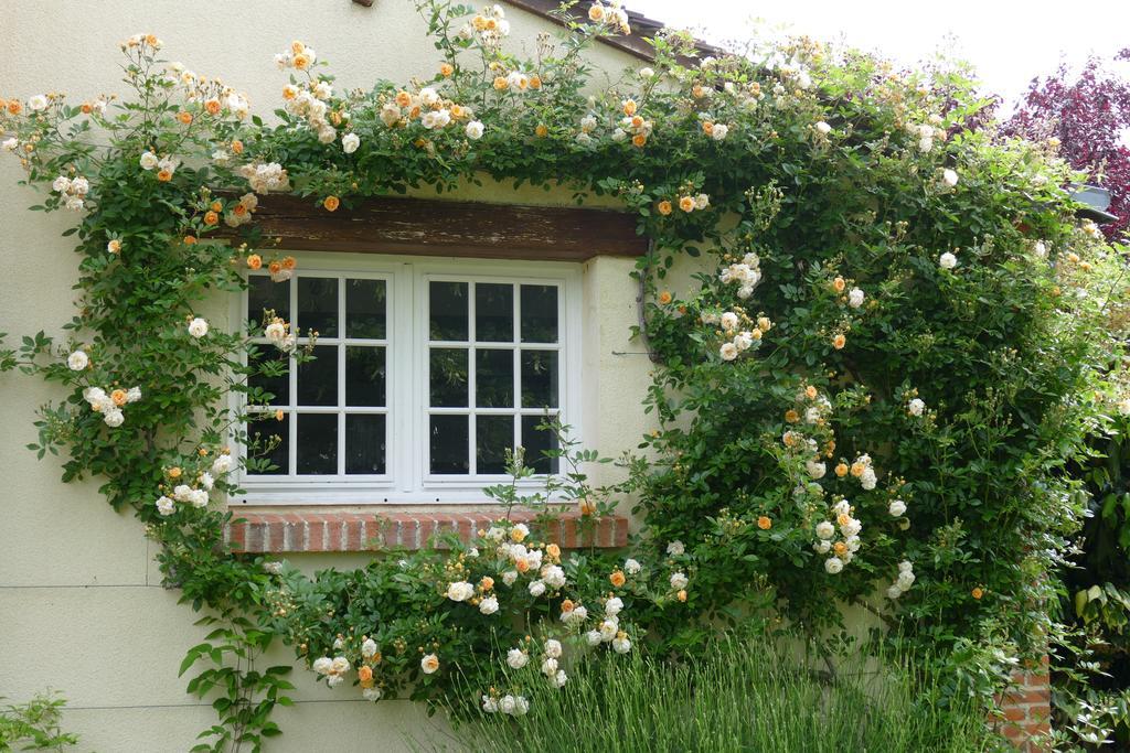 Le Clos Des Perraudieres Cour-Cheverny Exteriér fotografie
